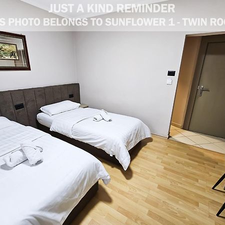 Sunflower Rooms Tiranë Luaran gambar