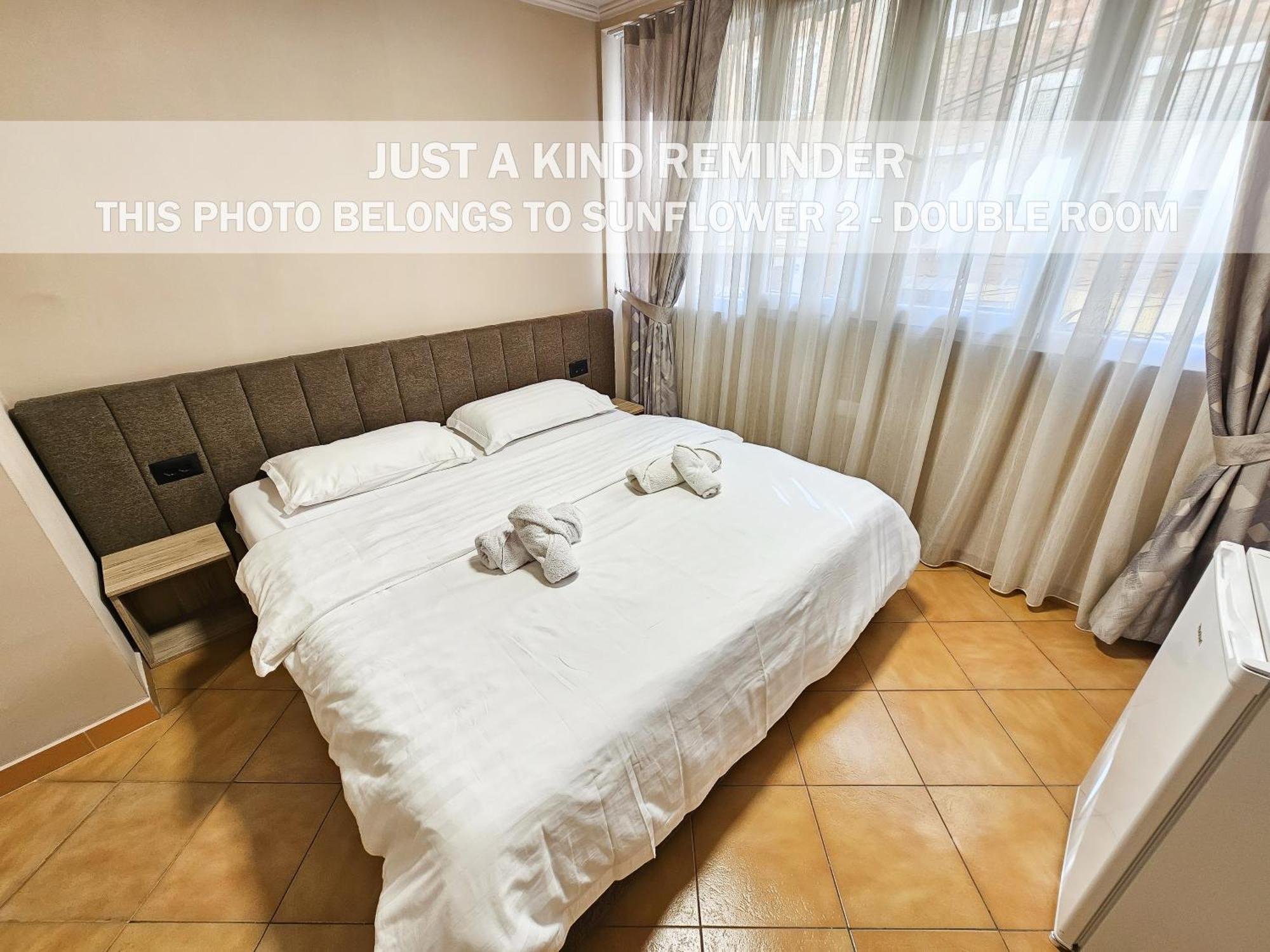 Sunflower Rooms Tiranë Luaran gambar