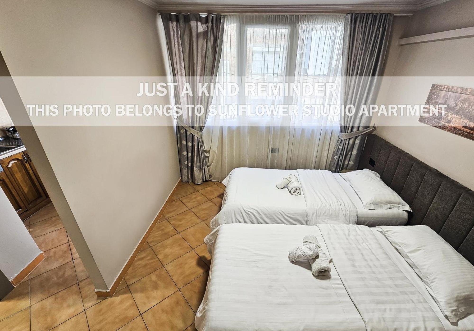 Sunflower Rooms Tiranë Luaran gambar