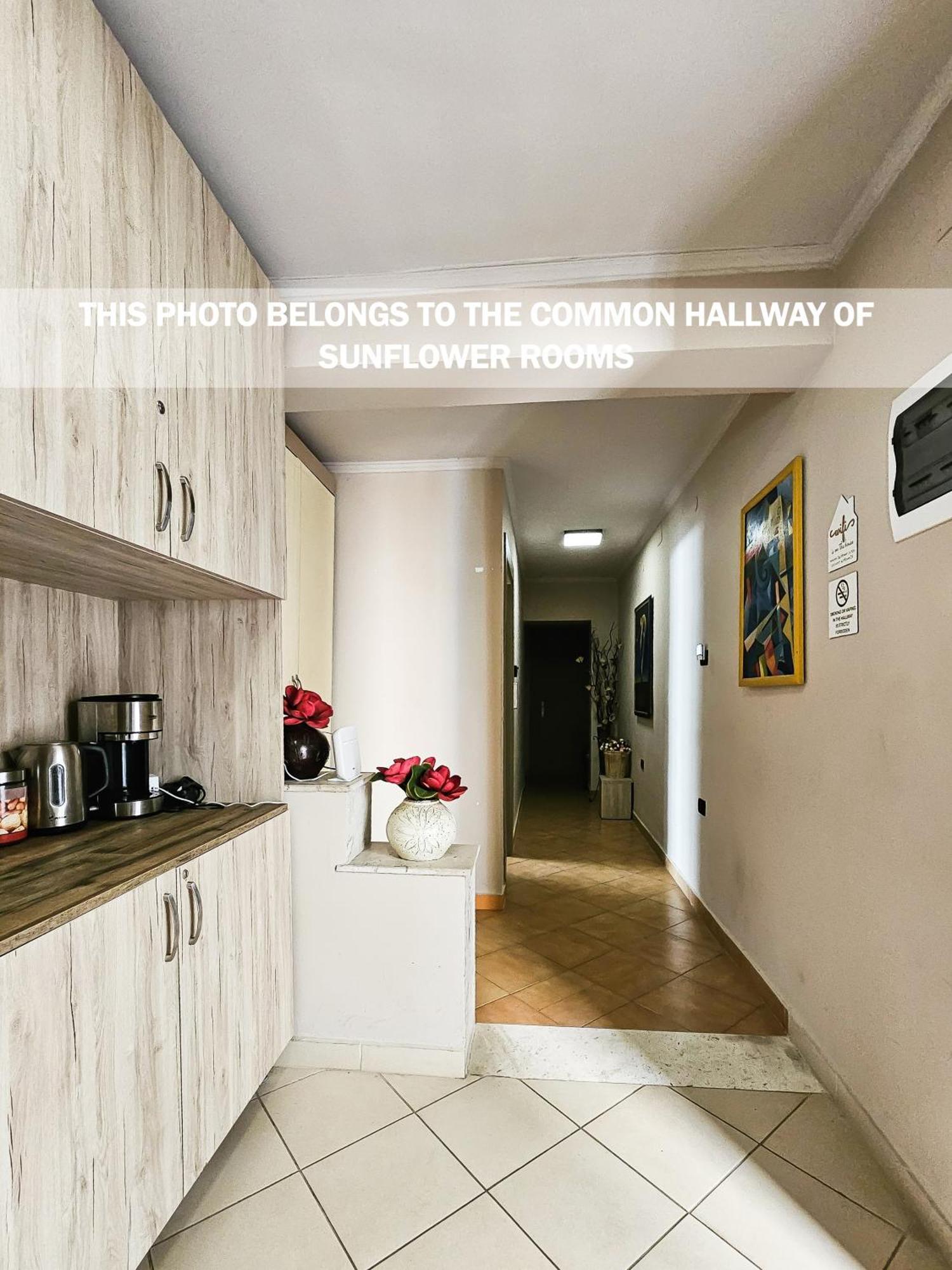 Sunflower Rooms Tiranë Luaran gambar