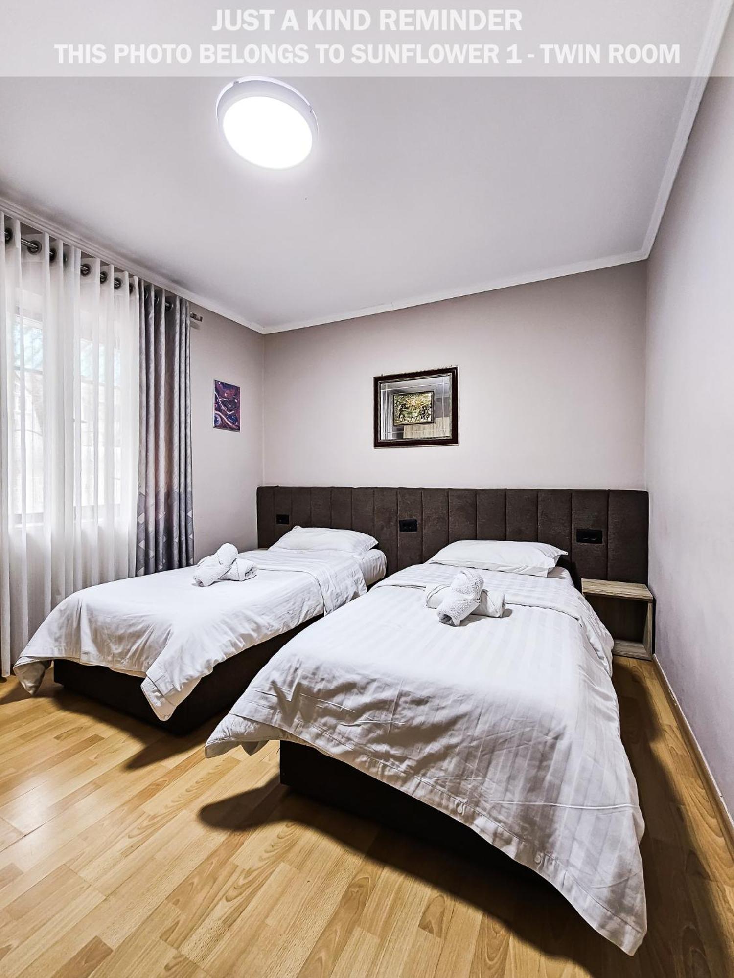 Sunflower Rooms Tiranë Luaran gambar